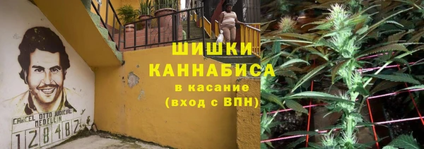 меф Арсеньев