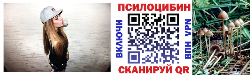 купить   Новый Оскол  Галлюциногенные грибы Cubensis 